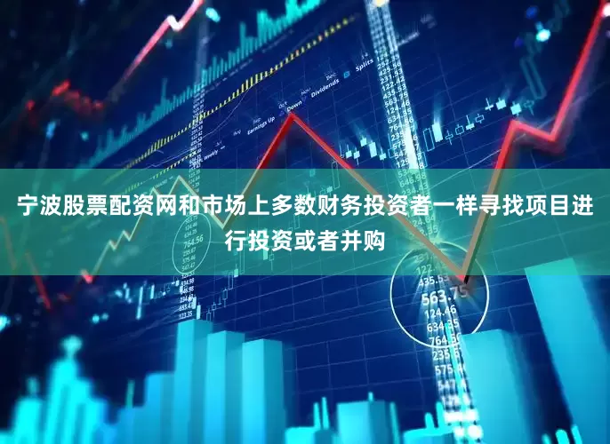 宁波股票配资网和市场上多数财务投资者一样寻找项目进行投资或者并购