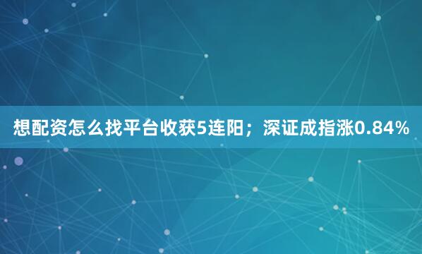 想配资怎么找平台收获5连阳；深证成指涨0.84%