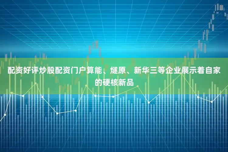 配资好评炒股配资门户算能、燧原、新华三等企业展示着自家的硬核新品