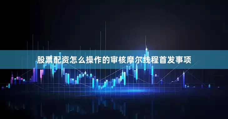 股票配资怎么操作的审核摩尔线程首发事项