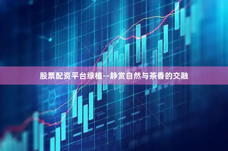 股票配资平台绿植--静赏自然与茶香的交融
